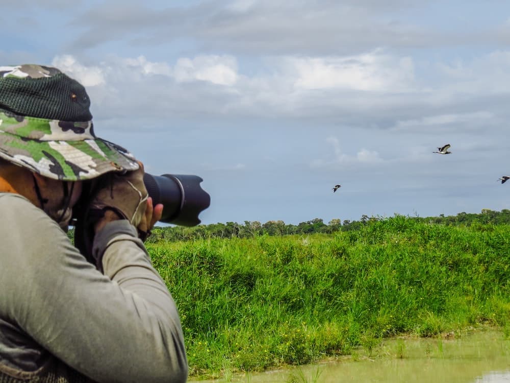 Bird Watching Ibera National Park