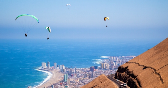 Paragliding in Iquique 