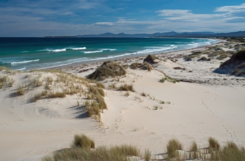 Visit Tasmania
