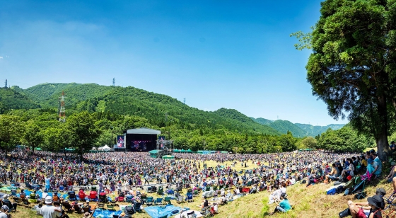 Fuji rock festival