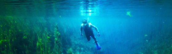 Cave Dive at Piccaninnie Ponds 