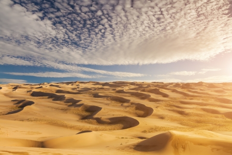 See the Sahara in Tunisia