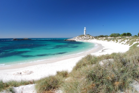 Discover Rottnest island