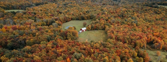 Exploring the Catskills: Nature, History, and Hidden Retreats 
