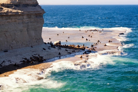 The Valdes peninsula
