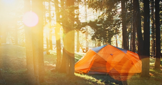 Go camping in someone's backyard