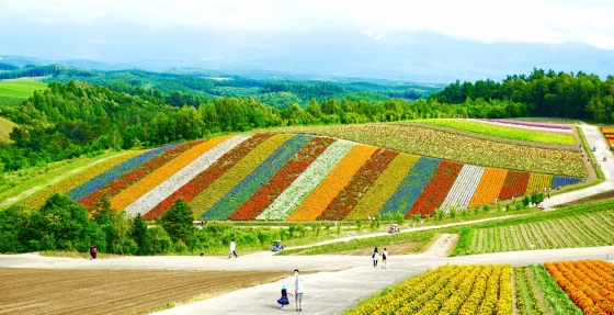 Go to Hokkaido in Japan 