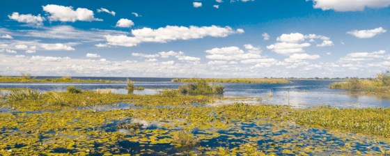 Ibera National Park - The restored wetlands of Argentina