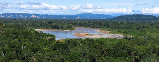 Madidi National Park: a must-visit for nature lovers