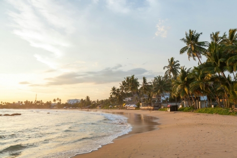 Sri Lanka in January: Which Coast Has the Best Weather?