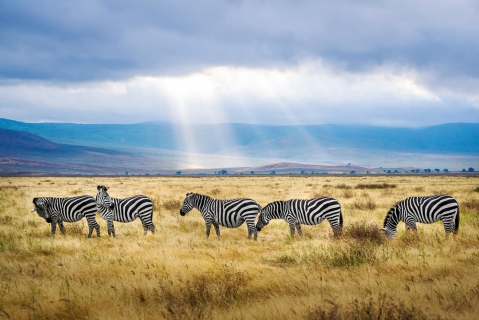 Tanzania in July: Zanzibar, Safari or Kilimanjaro?