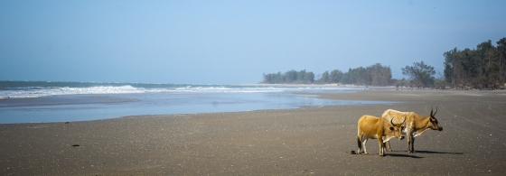 The Casamance, a green pearl with spectacular beaches 