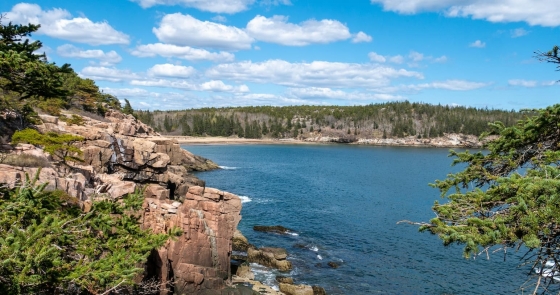 The Untamed Beauty of Acadia National Park
