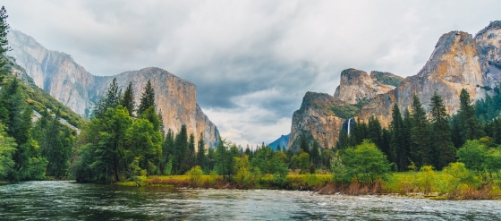 Yosemite National Park is definitely worth a visit