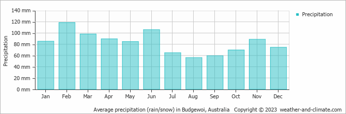 Average monthly rainfall, snow, precipitation in Budgewoi, Australia