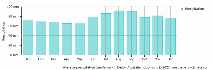 Average monthly rainfall, snow, precipitation in Derby, Australia