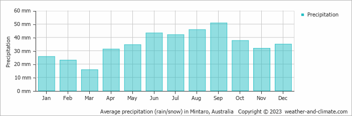 Average monthly rainfall, snow, precipitation in Mintaro, Australia