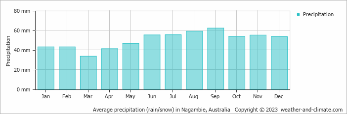 Average monthly rainfall, snow, precipitation in Nagambie, Australia