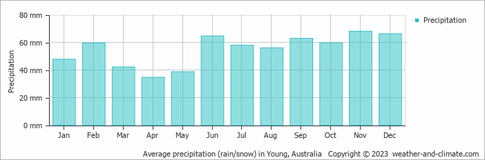 Average monthly rainfall, snow, precipitation in Young, Australia