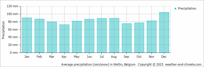 Average monthly rainfall, snow, precipitation in Wellin, Belgium