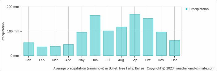 Average monthly rainfall, snow, precipitation in Bullet Tree Falls, Belize