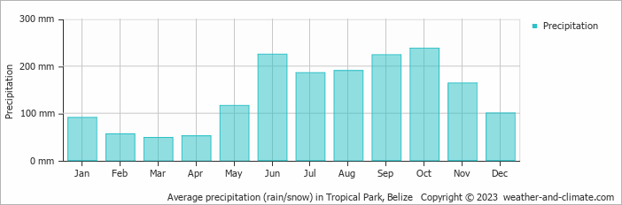 Average monthly rainfall, snow, precipitation in Tropical Park, Belize