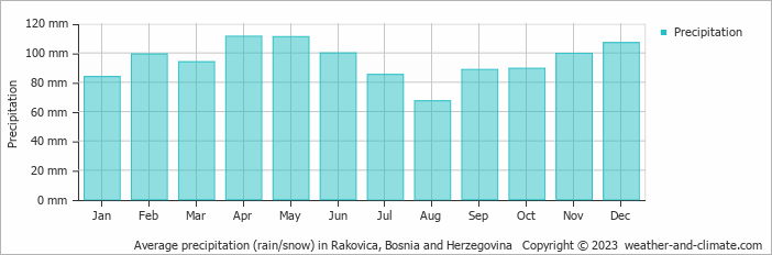Average monthly rainfall, snow, precipitation in Rakovica, 