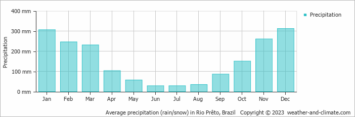 Average monthly rainfall, snow, precipitation in Rio Prêto, 