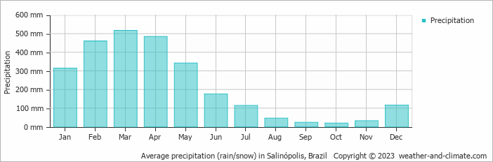 Average monthly rainfall, snow, precipitation in Salinópolis, Brazil