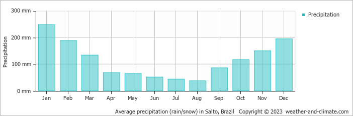 Average monthly rainfall, snow, precipitation in Salto, Brazil