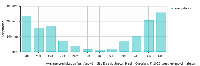 Average monthly rainfall, snow, precipitation in São Brás do Suaçuí, 