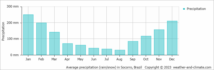 Average monthly rainfall, snow, precipitation in Socorro, Brazil