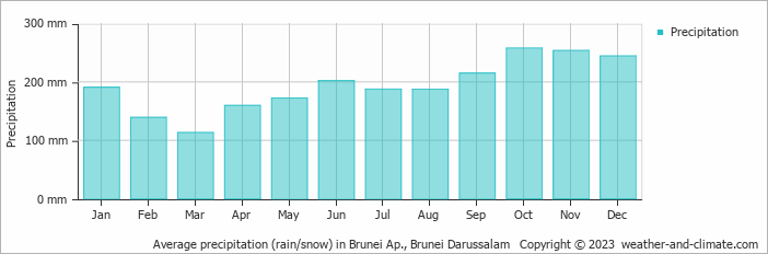 Average monthly rainfall, snow, precipitation in Brunei Ap., 