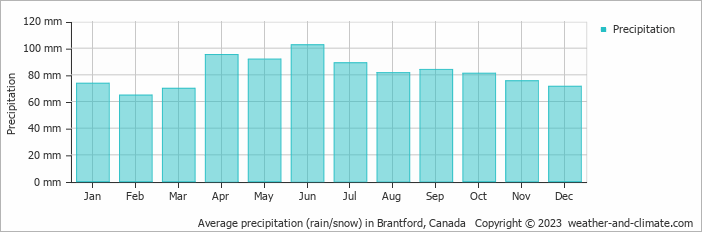 Average monthly rainfall, snow, precipitation in Brantford, Canada