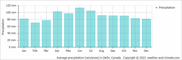 Average monthly rainfall, snow, precipitation in Delhi, Canada