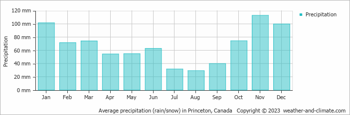 Average monthly rainfall, snow, precipitation in Princeton, Canada