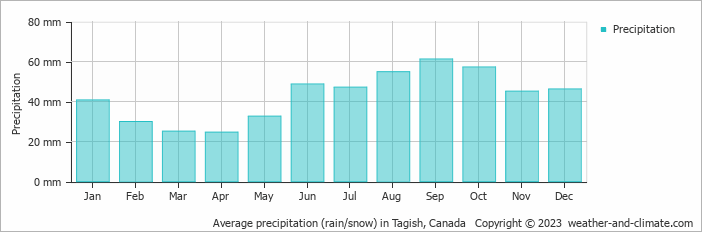 Average monthly rainfall, snow, precipitation in Tagish, 