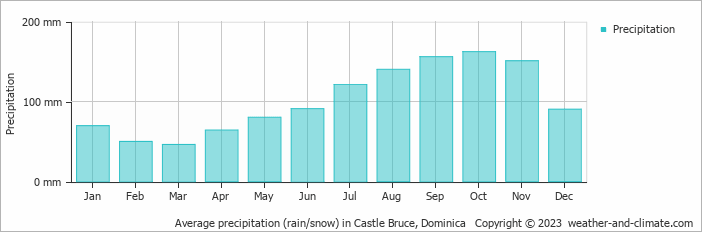 Average monthly rainfall, snow, precipitation in Castle Bruce, 