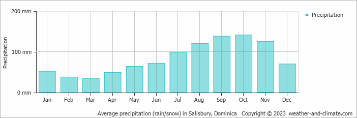Average monthly rainfall, snow, precipitation in Salisbury, 