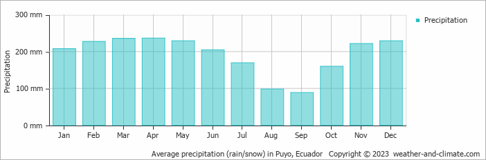 Average monthly rainfall, snow, precipitation in Puyo, 