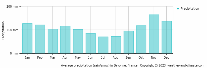 Average monthly rainfall, snow, precipitation in Bayonne, 