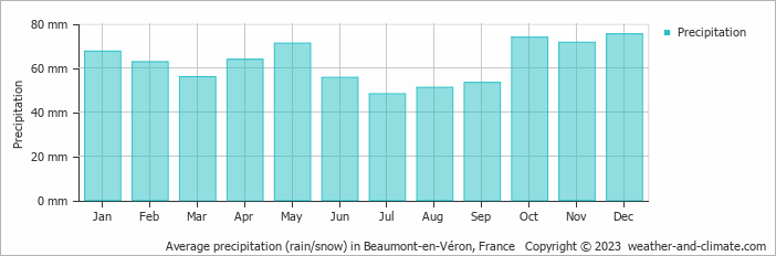Average monthly rainfall, snow, precipitation in Beaumont-en-Véron, France