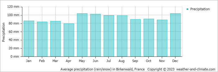 Average monthly rainfall, snow, precipitation in Birkenwald, France