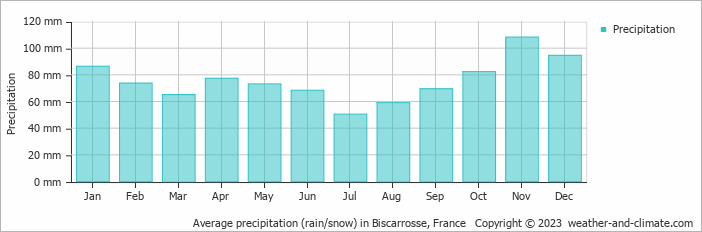 Average monthly rainfall, snow, precipitation in Biscarrosse, France