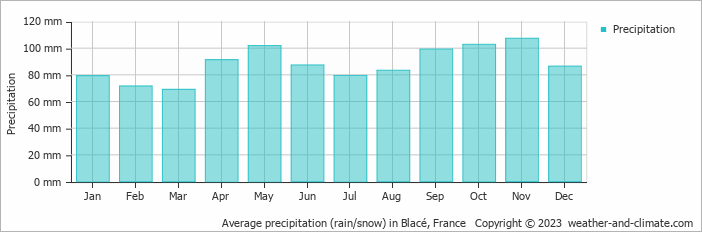 Average monthly rainfall, snow, precipitation in Blacé, France