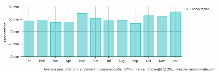 Average monthly rainfall, snow, precipitation in Boissy-sous-Saint-Yon, 
