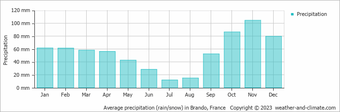 Average monthly rainfall, snow, precipitation in Brando, 