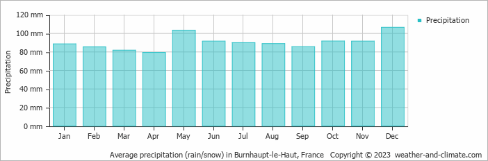 Average monthly rainfall, snow, precipitation in Burnhaupt-le-Haut, France