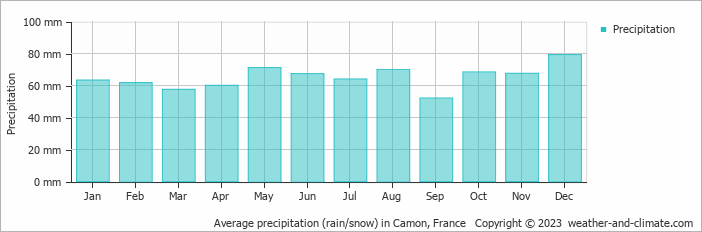 Average monthly rainfall, snow, precipitation in Camon, 