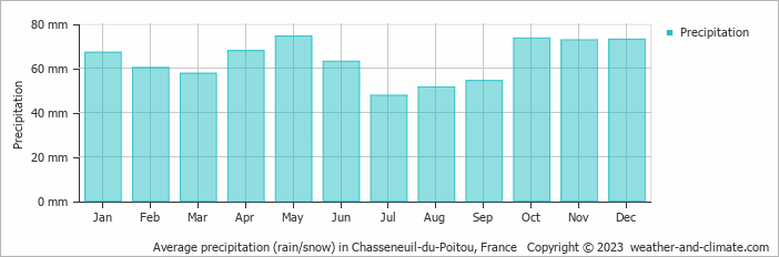 Average monthly rainfall, snow, precipitation in Chasseneuil-du-Poitou, France